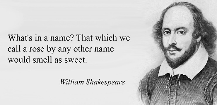 ROSE Reality Operating System Explainer